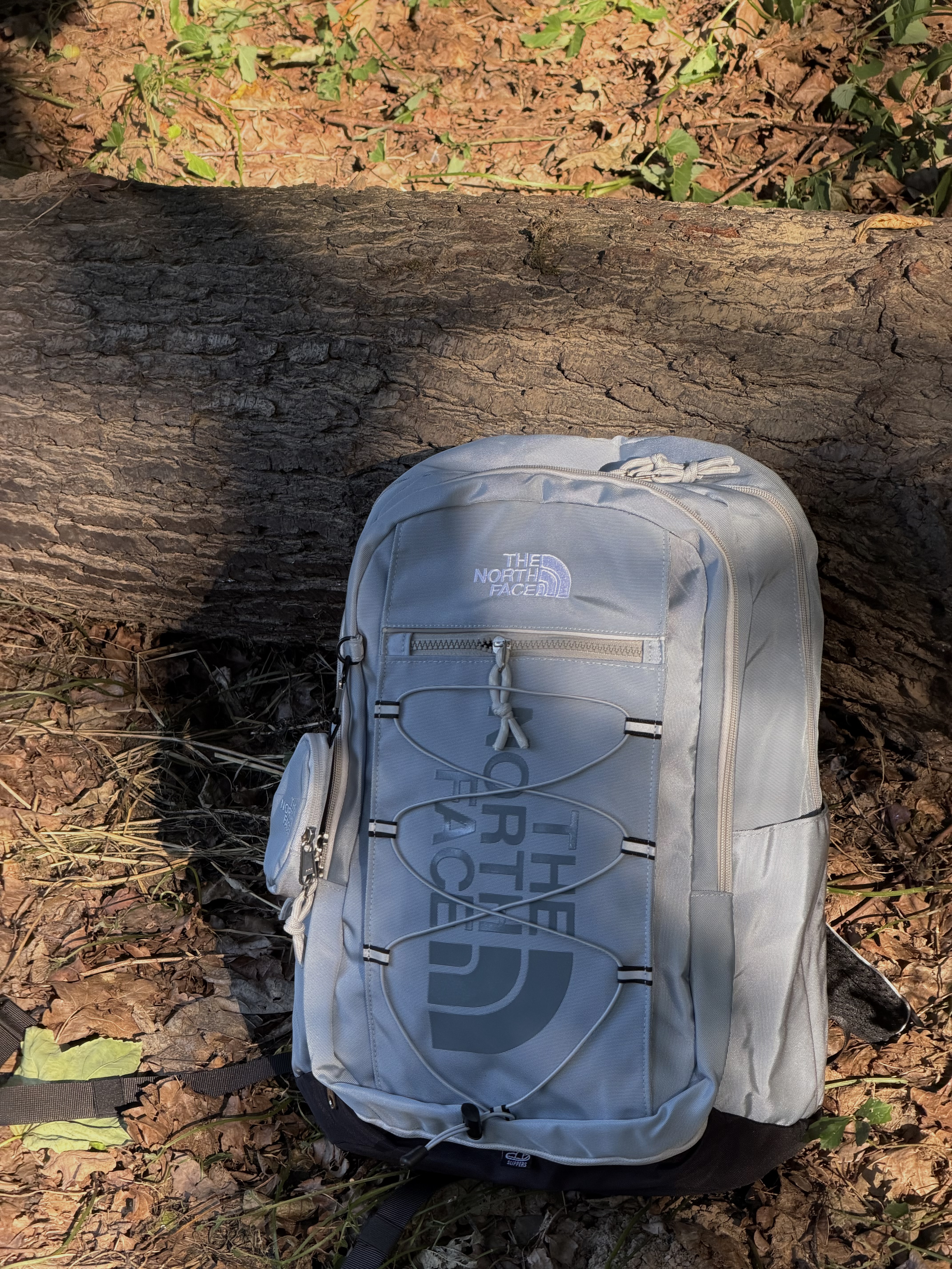 The North Face Backpack 3