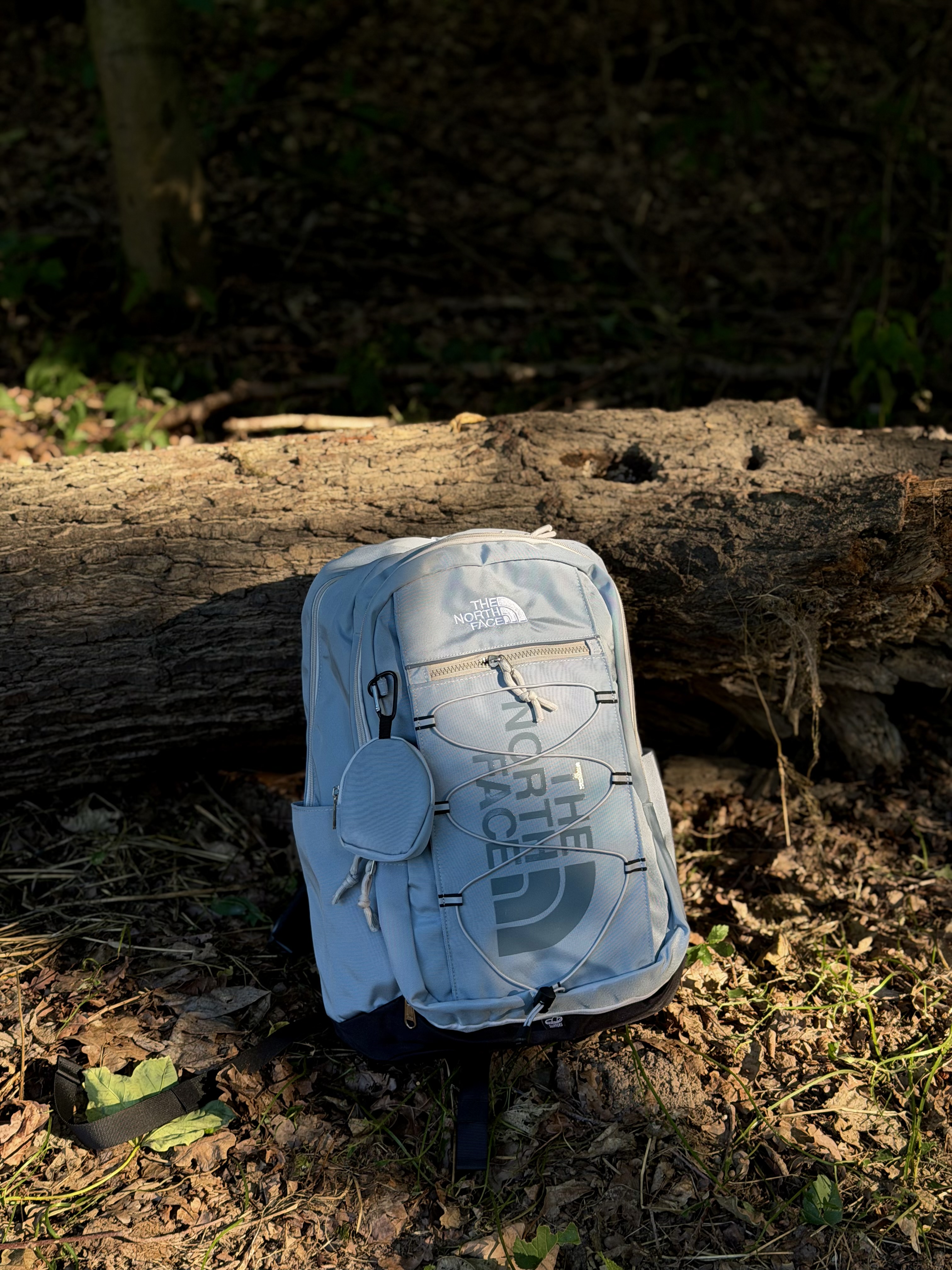 The North Face Backpack 1