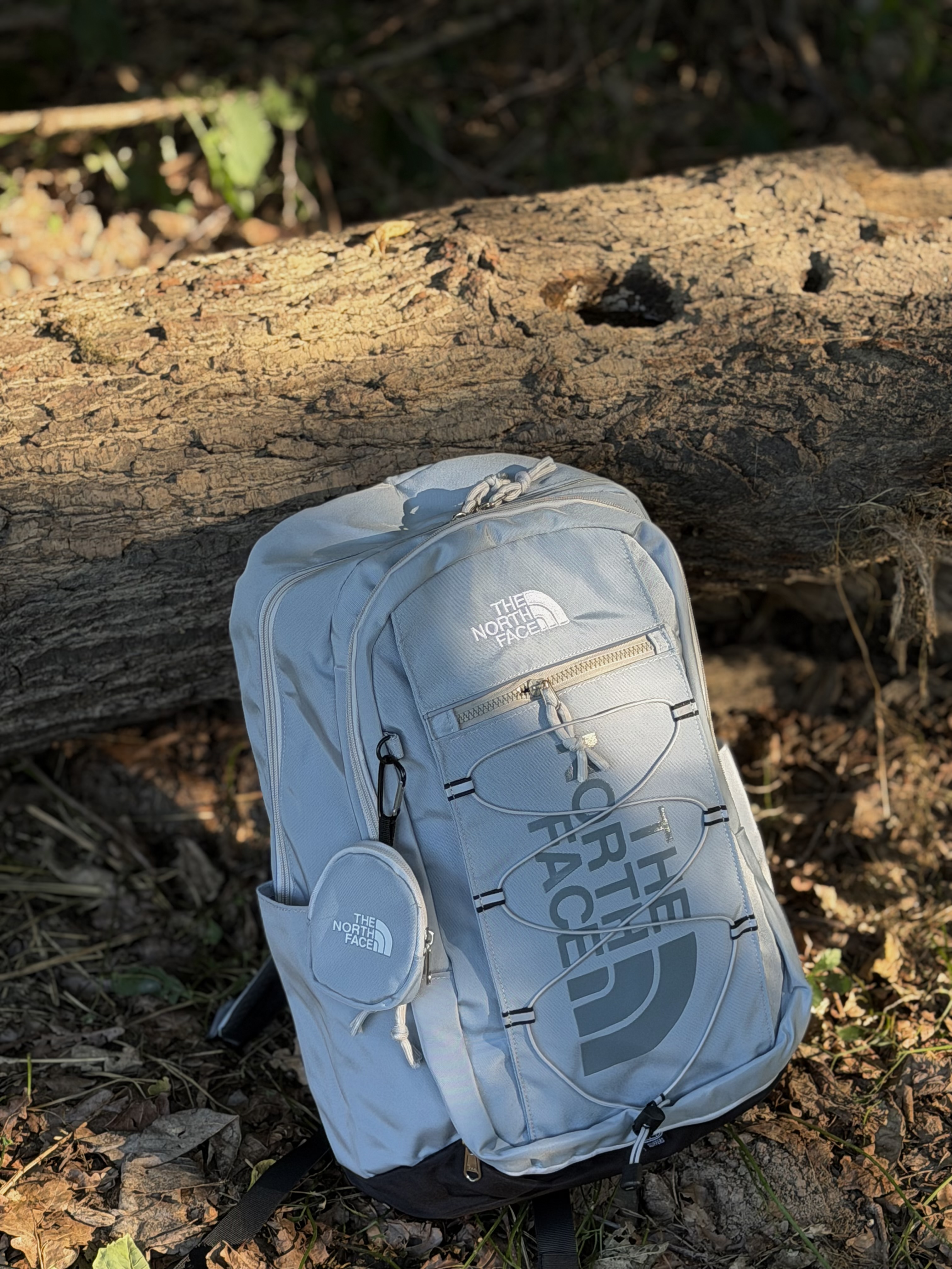 The North Face Backpack 2